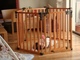 DSC01528.JPG