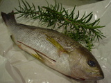 DSC08448.JPG