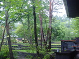 DSC08249.JPG